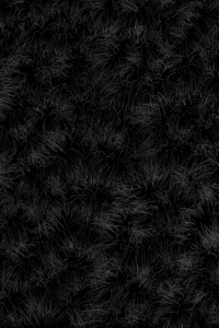 Kiosztották a 15. KAFF díjait